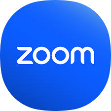 Zoom Pro Monthly Subscription
